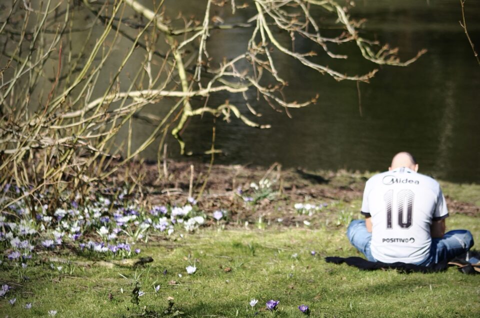 Spring in the City: When the Streets Start to Breathe Again